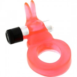 ANELLO CON CONIGLIO...